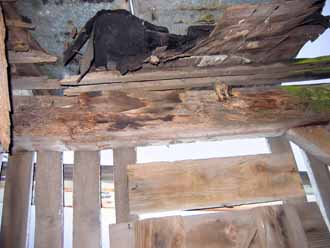 The Barn Log Photographs - November 22, 2004